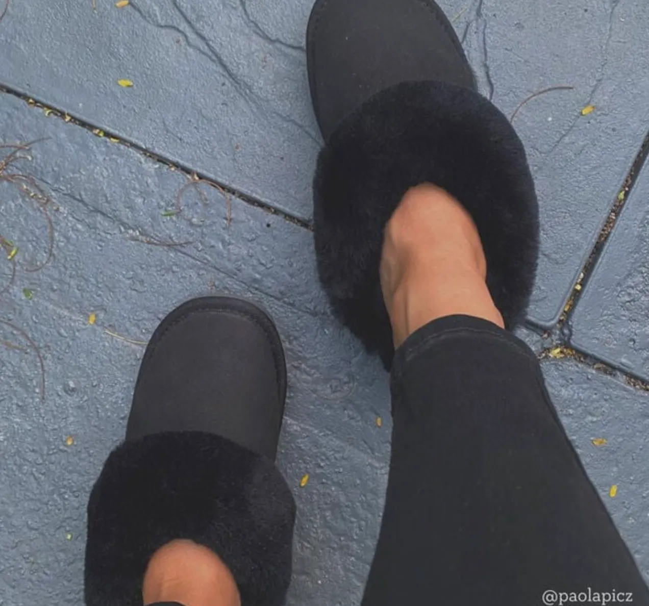 Emu Australia - Platinum Eden Adult Slipper (Black)