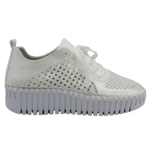 Perforated Lace Up Sneaker