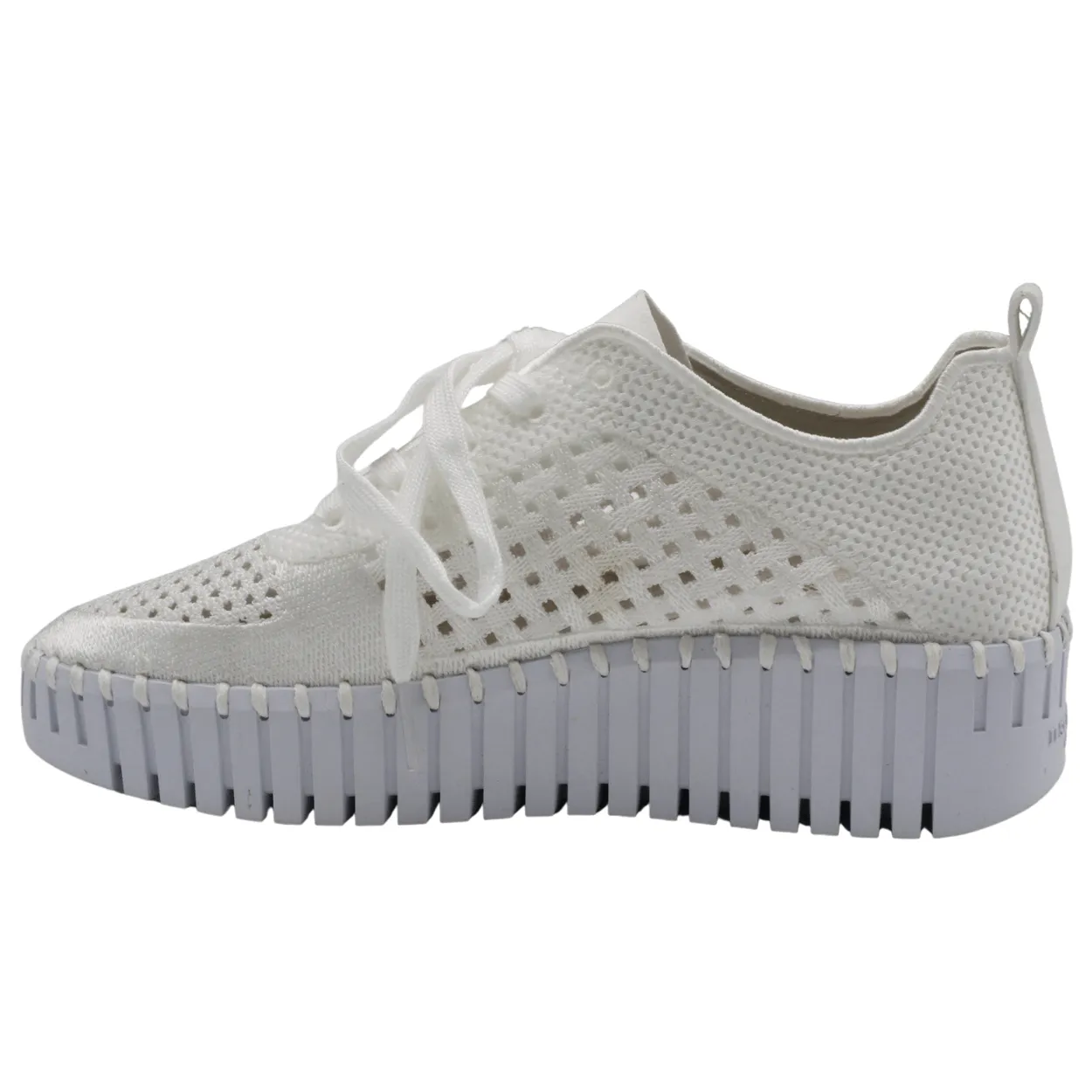 Perforated Lace Up Sneaker